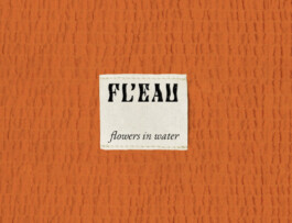 Identité de marque Logotype Fl'eau Fleurs d'eau flowers in water 