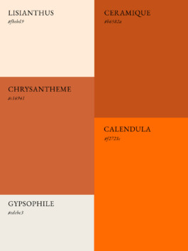 Le Détail design graphique palette 