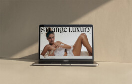 Strange Luxury Web Design Juliette Le Priellec 