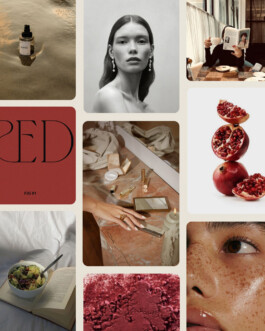 modboard beauty cosmetics 