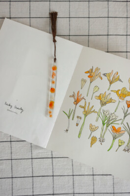 Juliette Le Priellec  — Atelier de Design Graphique