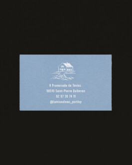 Visit Card La Mise À l'Eau Graphic Design by Juliette Le Priellec 