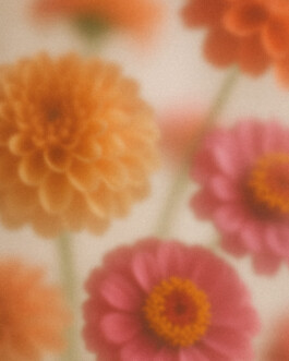 Juliette Le Priellec — Atelier de Design Graphique