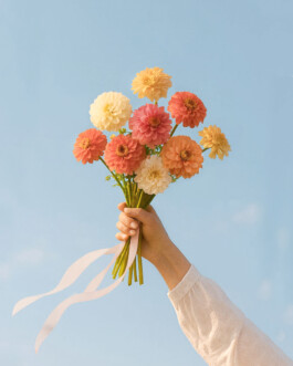 Juliette Le Priellec — Atelier de Design Graphique