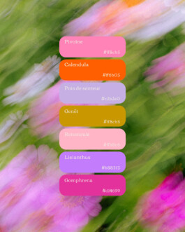 Color palet Pomponette Identité visuelle