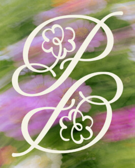 Lettrine Pomponette Logotype fleuriste