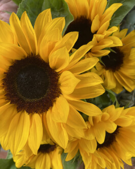 13 place de la République, île de Nantes LE DETAIL