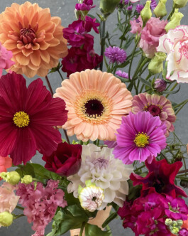 13 place de la République, île de Nantes LE DETAIL